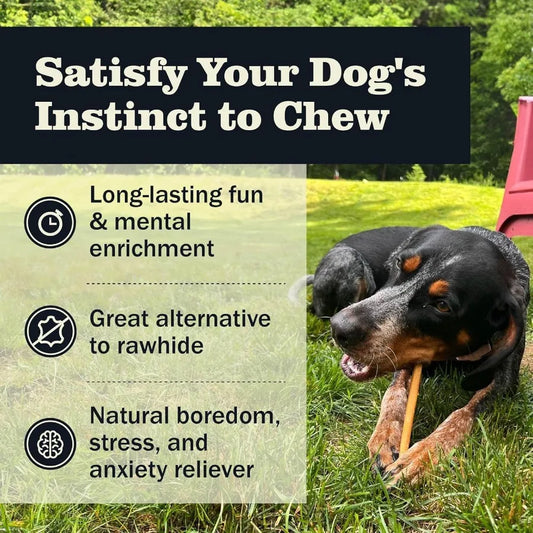 Bully Sticks Healthy Long Lasting Chews Beef