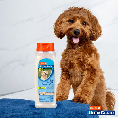 UltraGuard Flea Tick Oatmeal Shampoo Dogs 3 Pack