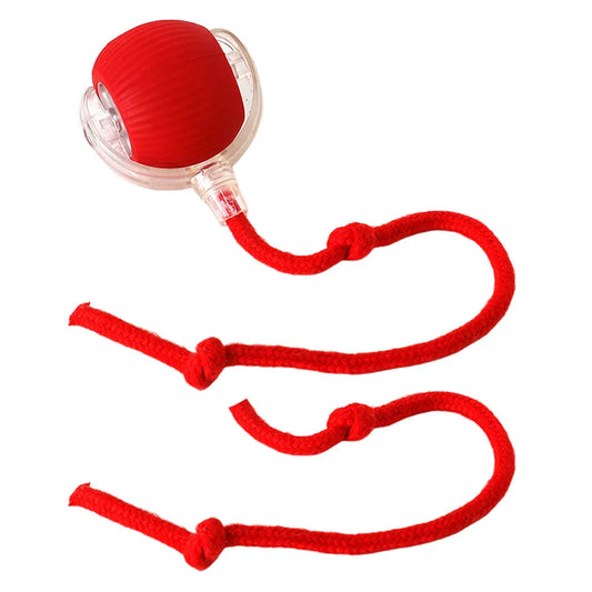 Cat Interactive Rechargeable Automatic Rolling Ball Toy