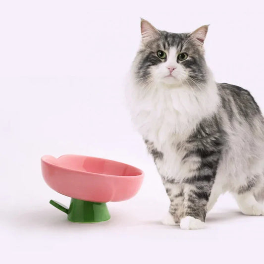 Cat Raised Ceramic Bowl Cute Flower Elevated