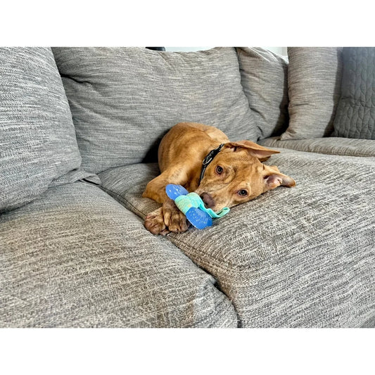 Puppy Chew Freezer Bacon Flavor Teething Dental Nubs