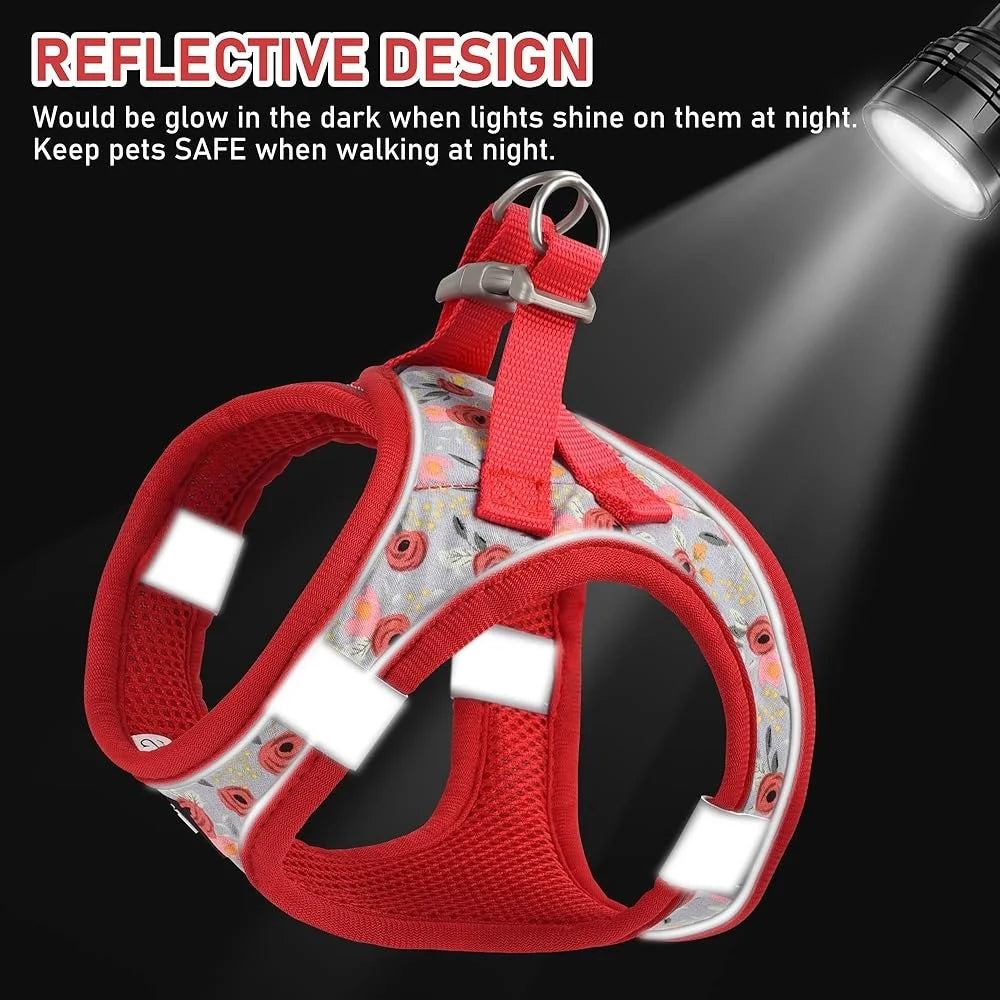 Adjustable Small Pet Harness Collar Leash Set