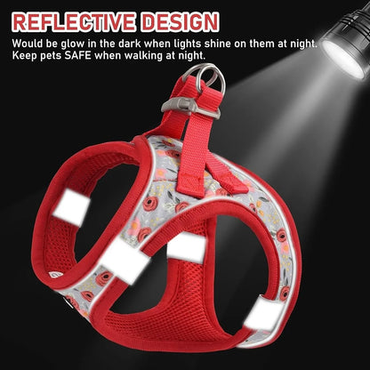 Adjustable Small Pet Harness Collar Leash Set