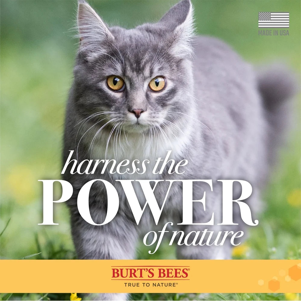 Dry Shampoo Cats Shea Butter Honey Spray pH Balanced