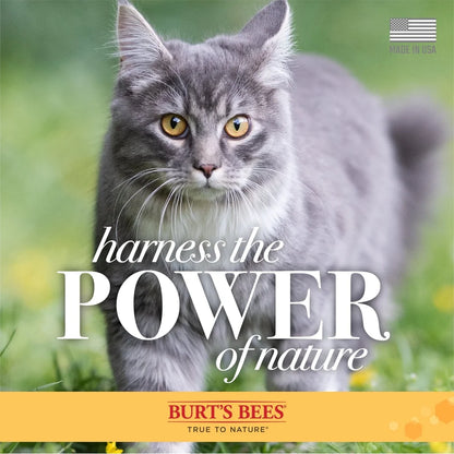 Dry Shampoo Cats Shea Butter Honey Spray pH Balanced