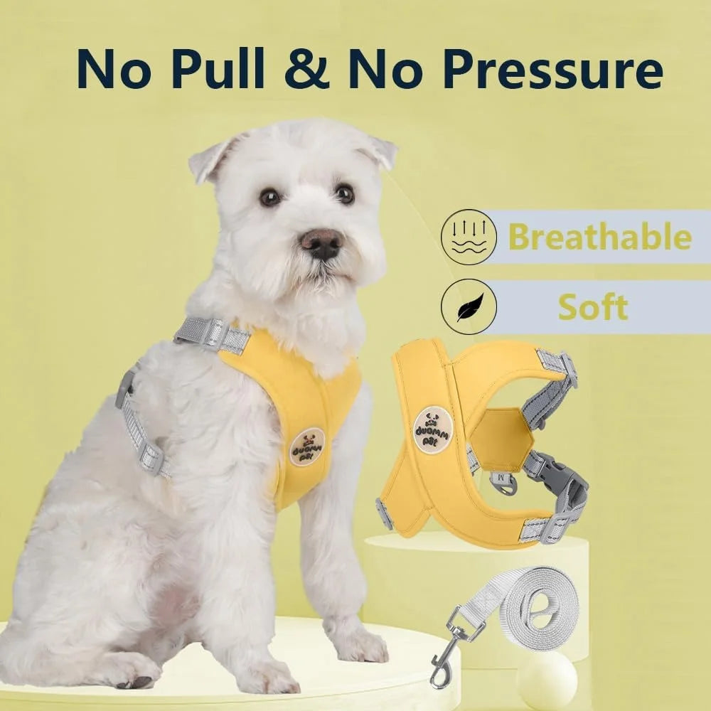 No Pull Dog Harness Leash Set Adjustable