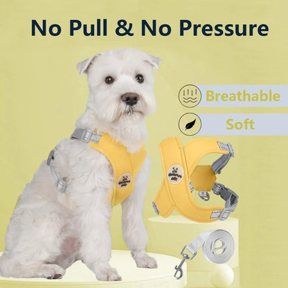 No Pull Dog Harness Leash Set Adjustable