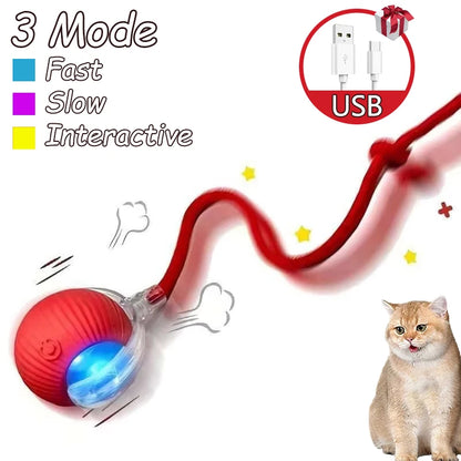 2Pcs Cat Interactive Ball Rechargeable