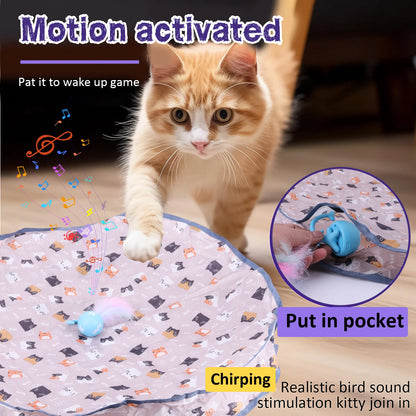 Motion Activate Wear Resist Mouse Catching Game Cat Mat