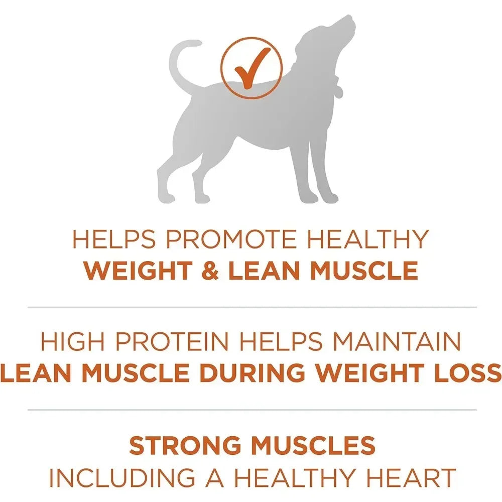 Plus Healthy Weight High-Protein Dog Food Dry