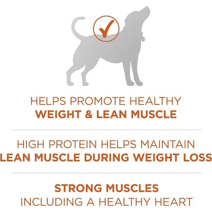 Plus Healthy Weight High-Protein Dog Food Dry