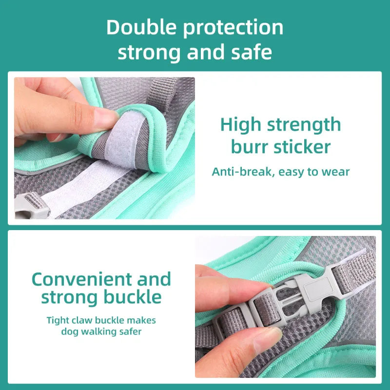 Dog Harness Adjustable With Leash