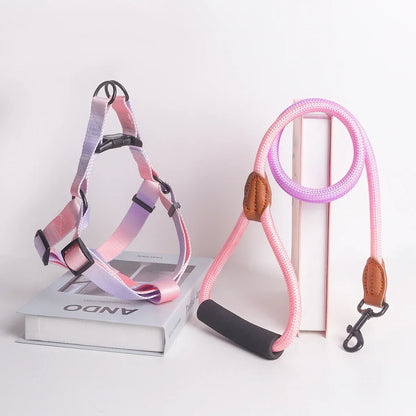 Set of colorful pet harness with leash