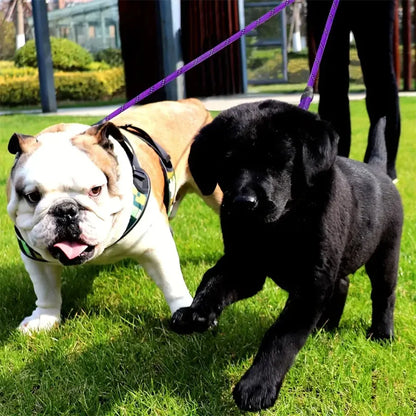 Dual Dog Leash - 360 Swivel No Tangle