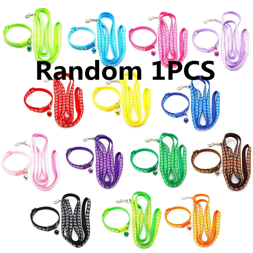 Leash Adjustable Collar Printed