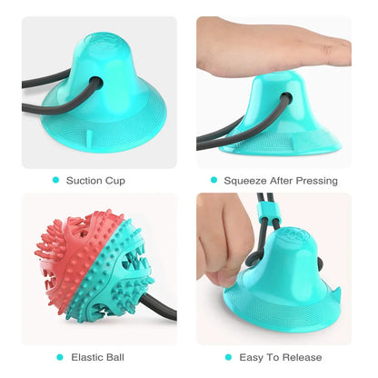 Silicon Suction Cup Tug Interactive Dog Ball Toy
