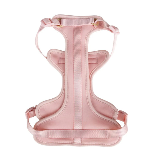 Adjustable Neoprene Dog Harness XS Soft Comfortable Fit