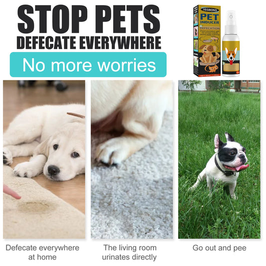 30ml Potty Training Spray for Puppy Housebreaking Tool