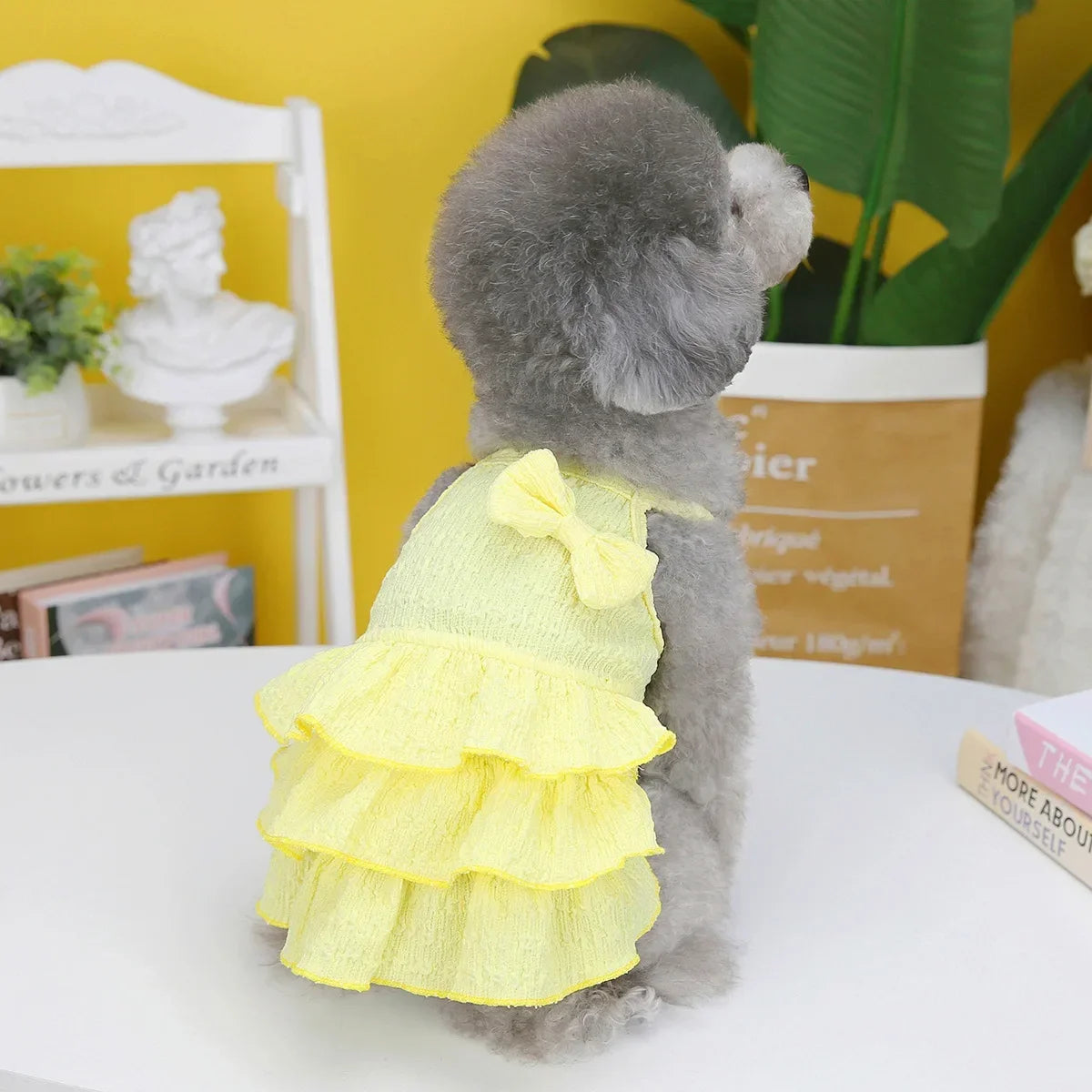Princess Dresses Skirt Puppy Dog Cat Costume