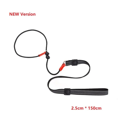 Training P-Shaped Chain Slip Lead Control Leash