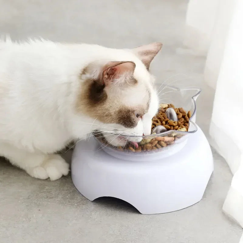 Cat Slow Feeder Plastic Transparent Raised Stand