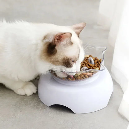 Cat Slow Feeder Plastic Transparent Raised Stand