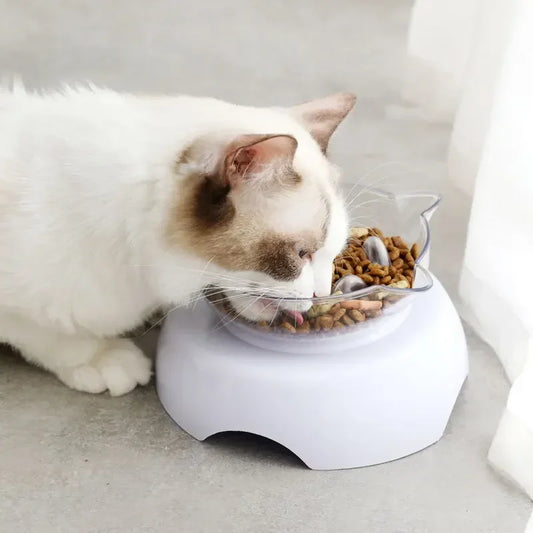 Cat Slow Feeder Plastic Transparent Raised Stand