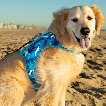 Adjustable Tropical Leaf Dog Harness Medium Comfortable Fit