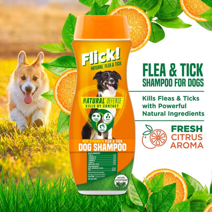 Natural Flea Tick Shampoo Dogs Essential Oils