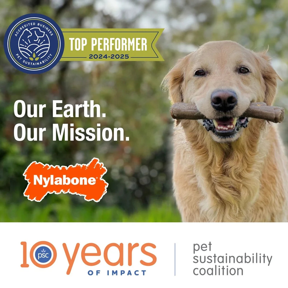 Nylon Dog Chew Alternative Safe Odor Free