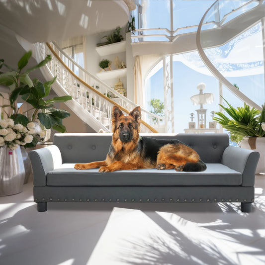 Durable Elevated Dog Sofa Bed, Comfortable Couch