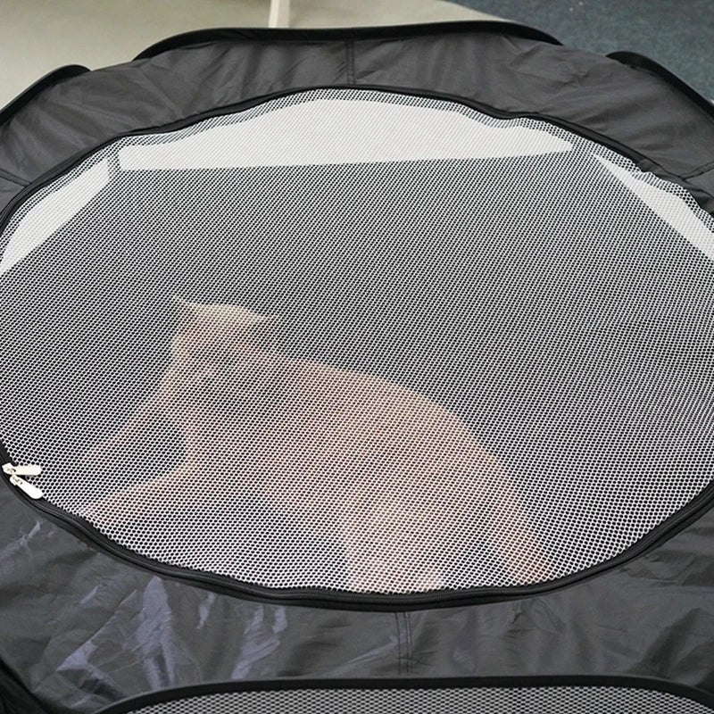 Cat Tunnel House 2 in 1 Interactive Foldable