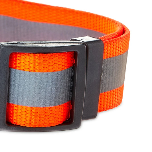 Large Adjustable Nylon Metal Dog Collar Neon Orange