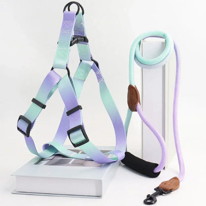 Set of colorful pet harness with leash