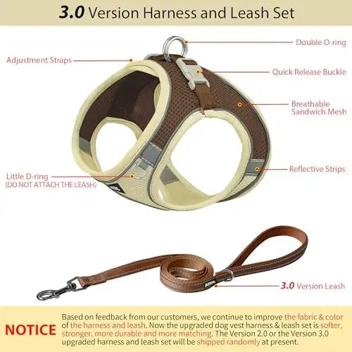Adjustable Harness & Leash Set Comfortable Padded Small