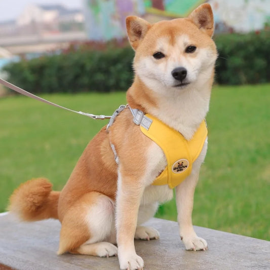 No Pull Dog Harness Leash Set Adjustable