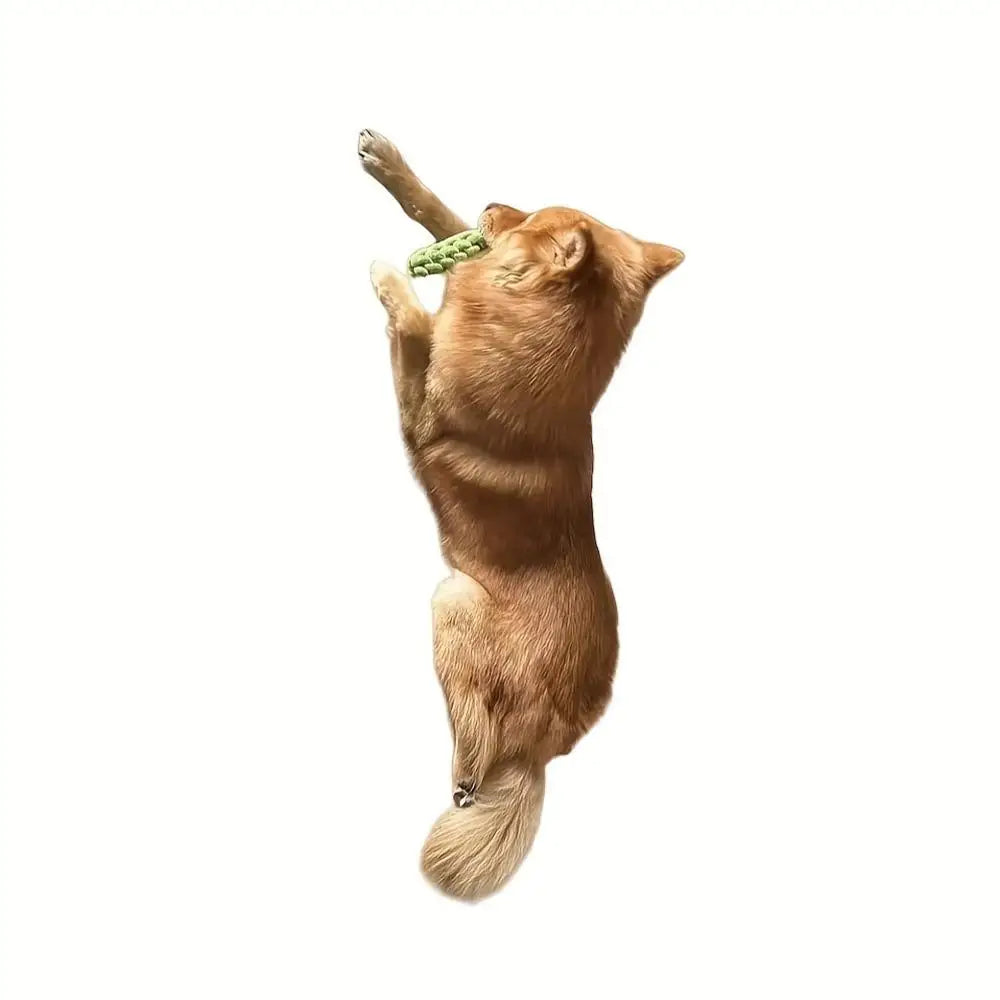 5 PCS  Dog Toys for Small Medium Dogs