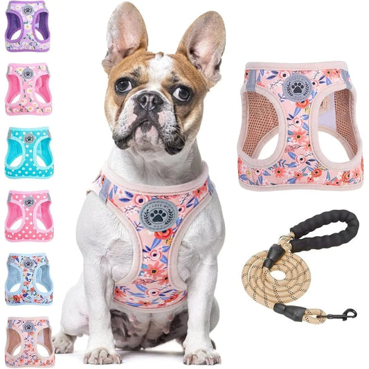 Floral Dog Harness and Leash  No Pull No Choke