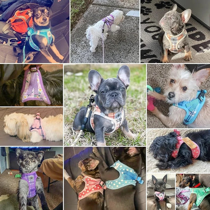 Floral Dog Harness and Leash  No Pull No Choke