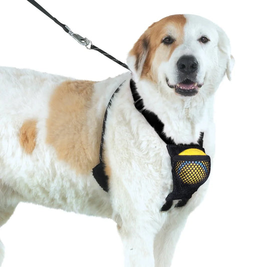 Non-Pulling Harness Pouch Adjustable Nylon Mesh