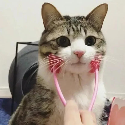 Multifunction Cat Face Massager  Interactive Massage Feet Leg
