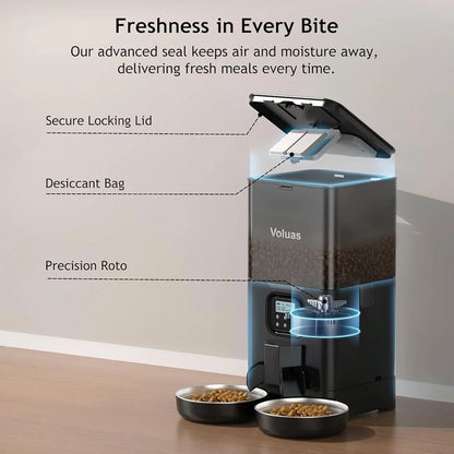 Automatic Double Pet Feeder with 2 Stainless Steel Bowls