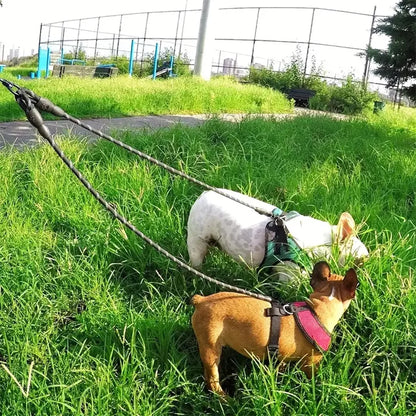 Dual Dog Leash - 360 Swivel No Tangle