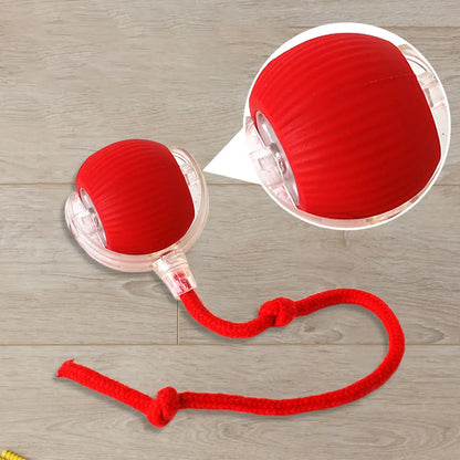 Cat Interactive Rechargeable Automatic Rolling Ball Toy