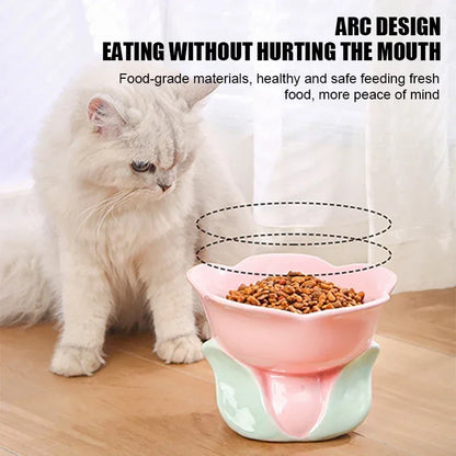 Flower Bowl Raised Ceramic Drinking Eating  Elevated Non-slip