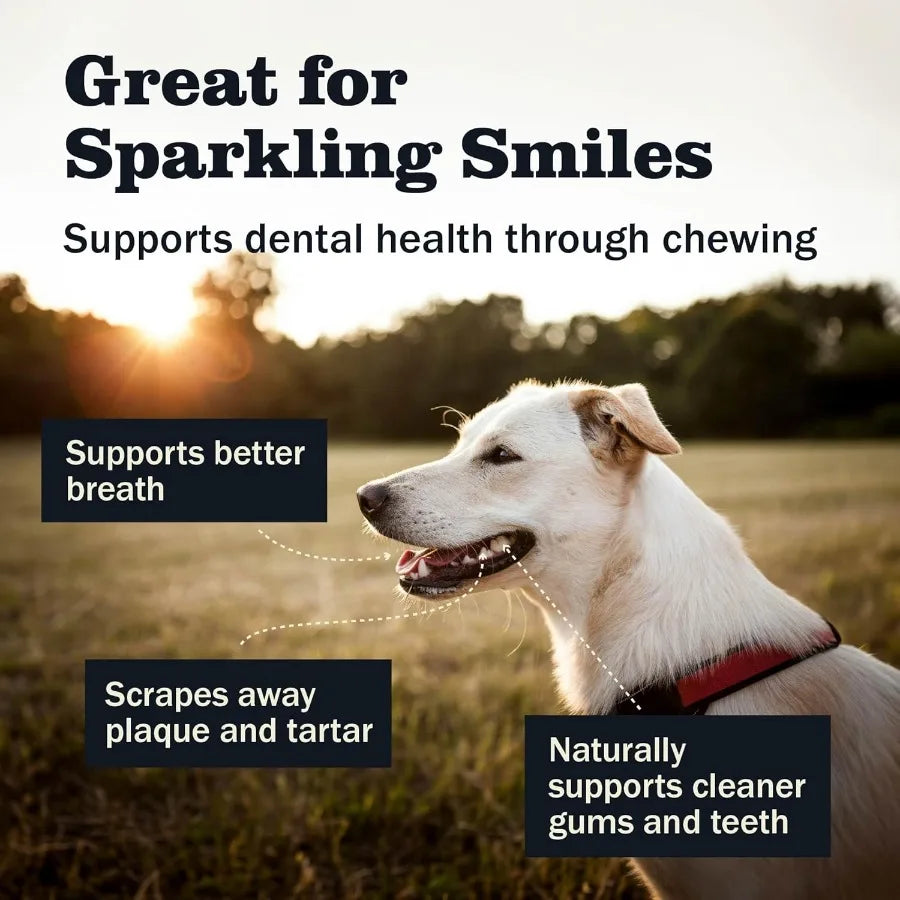 Bully Sticks Healthy Long Lasting Chews Beef