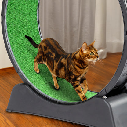 Cat Exercise Treadmill Wheel with Carpeted Runway