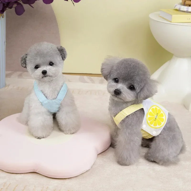 Dog Harness Vest Summer Breathable With Leash
