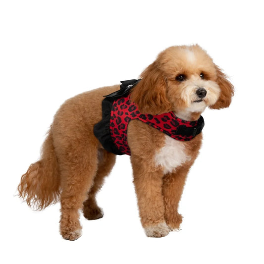 Dog Harness Adjustable Soft Polyester Small Dogs