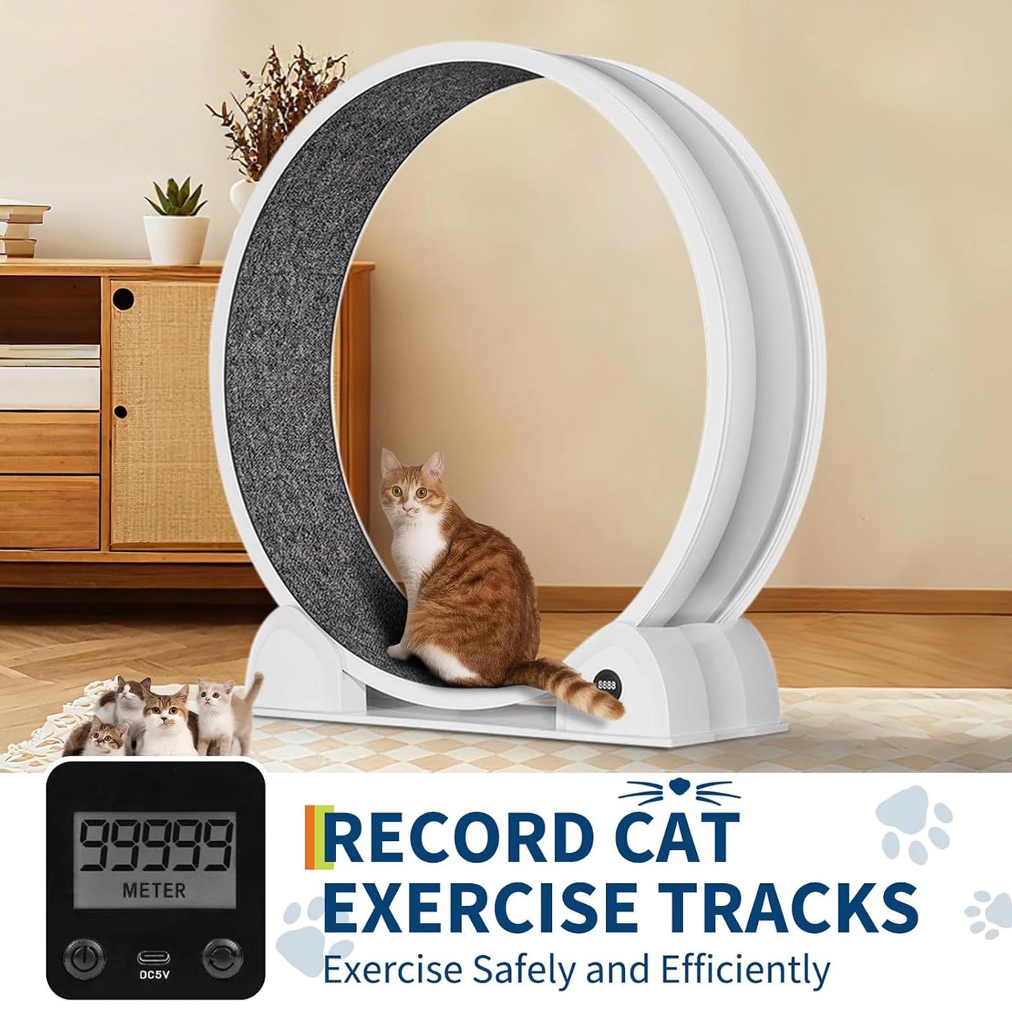 Cat Wheel Exerciser Quiet Treadmill with Pedometer